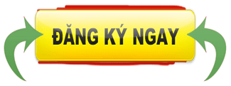 Phân Tích Công Dụng Dược Liệu Trong Viên Dạ Dày Plus: Góc Nhìn Đông Y và Khoa Học Hiện Đại