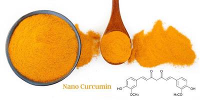 Nano Curcumin Hướng Đích: Đột Phá Trong Hỗ Trợ Điều Trị Bệnh Dạ Dày